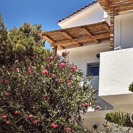 Shellona Rooms&apartments Laganas